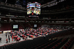 0406FestaBulls-UC.jpg