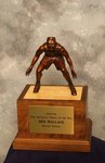 DPYaward.jpg